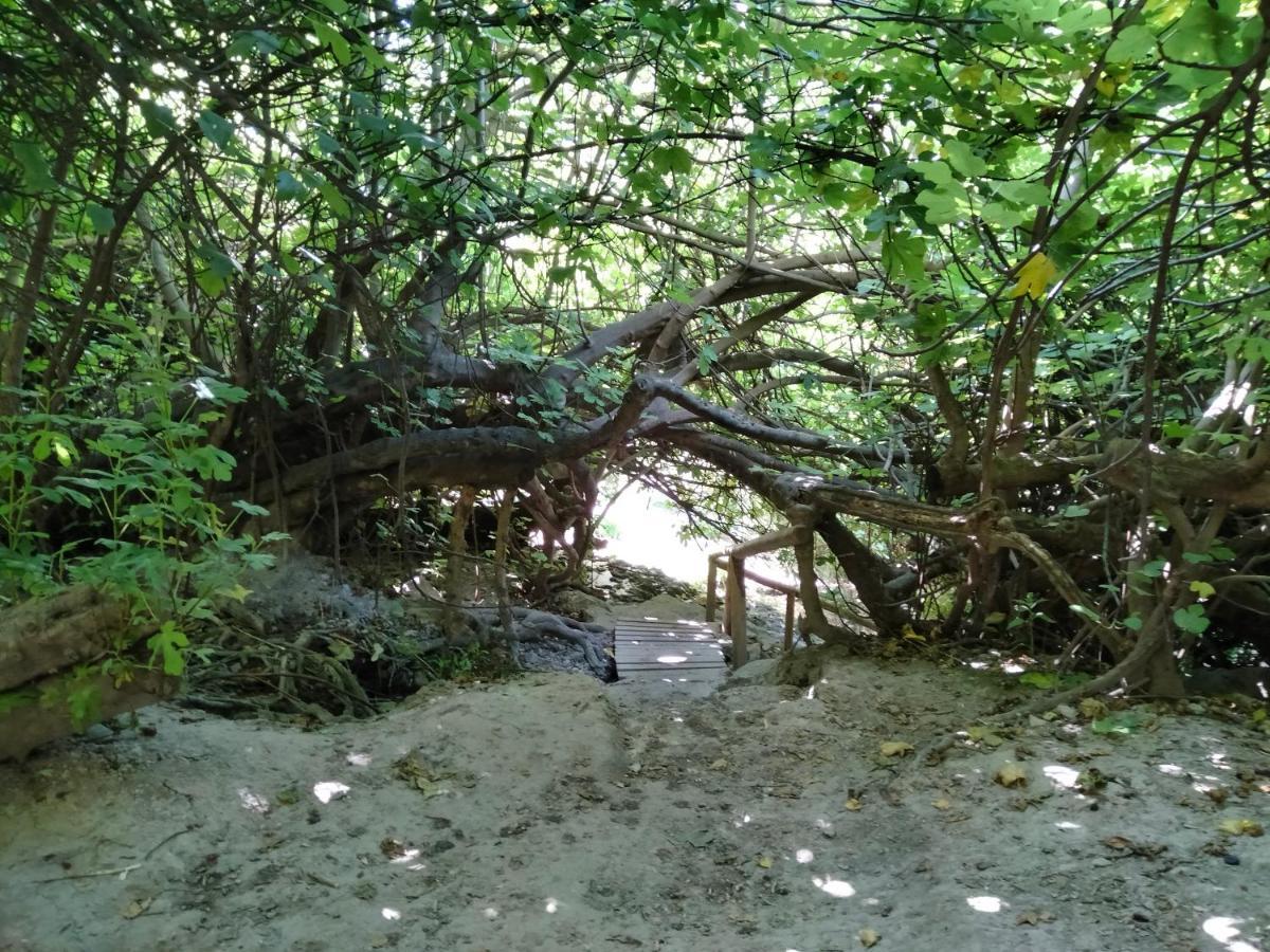 Alojamiento Rural, Cueva De La Abuela Cuevas del Campo Exterior foto
